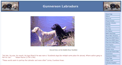 Desktop Screenshot of gunnersonlabs.com