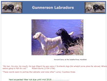 Tablet Screenshot of gunnersonlabs.com